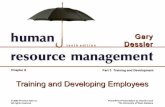 Training and Developing employee