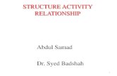 Structure activity relationship 6