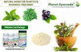 Natural Herbs for Diabetes & Treatment | Control Blood Sugar