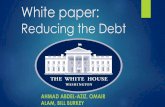 White Paper for the White House - Reducing the Debt