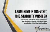 Examining Intra-Visit Iris Stability - Visit 3