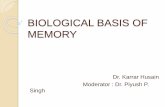 Biological basis of memory