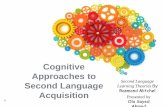 Cognitive Approaches to Second Language Acquisition