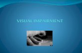 Visually impaired