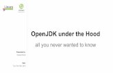 HKG15-200: OpenJDK under the hood