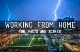 Working from home -  fun, facts and scares!