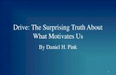 Drive - The Surprising Truth About What Motivates Us - By Daniel H. Pink