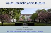 Acute traumatic aortic rupture