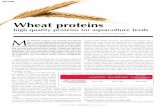 Wheat proteins - high quality proteins for aquaculture feeds