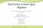 Trial tactics in brain injury litigation