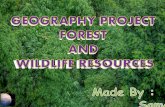 Forest And Wildlife Resources - $@mEe