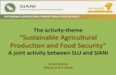 Insights from the cooperation between SLU and SIANI around the Theme Sustainable Agricultural Production