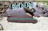 Gulf of mexico oil spill