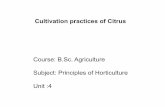 B.sc. agri i po h unit 4.2 cultivation practices of citrus