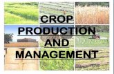 Crop production ppt