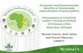 CASFESA CLOSURE: Economic & Environmental Benefits of Sustainable Intensification Practices--M. Kassie et al