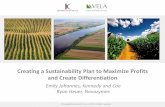 Creating Sustainability Plan to Maximize Profits & Create Differentiation