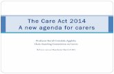 Professor David Croisdale-Appleby OBE, Chair, Standing Commission on Carers