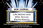 Life before and after scrum