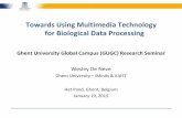 Towards using multimedia technology for biological data processing