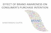 Brand and brand equity