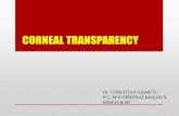 Corneal transparency