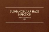 Submandibular space infection