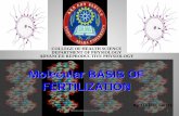 Molecular basis of fertilization