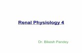 Renal physiology 4