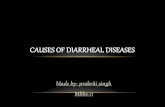 Causesof diarrheal diseases