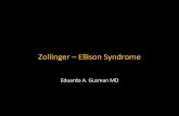 Gastrinoma. Zollinger-Ellison syndrome