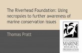 Riverhead presentation.pptx