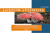Evin kustantia 1113016100039 Jamur (Fungi)