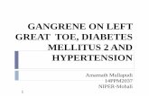 Case presentation on diabetic foot
