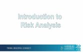 Introduction to risk analysis