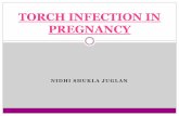 Torch infection in pregnancy