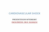 Physiology of Cardiovascular shock.