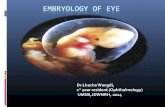 Embryology of human eye