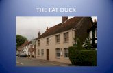 The fat duck