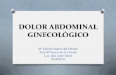 (2014-03-22) Dolor abdominal ginelogico (ppt)
