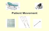 3.01 Patient Movement