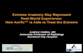Extreme Anatomy May Represent Real-World Experience: How Aorfix is Able to Treat the Extreme