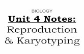 Biology Unit 4 Notes: Reproduction & Karyotyping