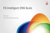 F5 Intelligent DNS Scale