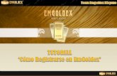 Emgoldex - Proceso de Registro