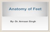Feet by  dr. armaan singh