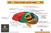 Brand psychology your brain on brands  infographic