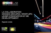 La collaboration grands groupes - startups : levier d'innovation et de développement (par Spring Lab)