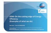 DSM: On the cutting edge of Energy Efficiency – (examples of what we do).