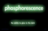 Sir adnan phosphorescence